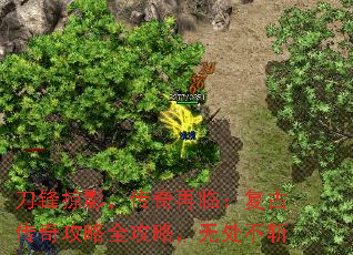 ������Ӱ���������٣����Ŵ��湥��ȫ���ԣ��޴���ն