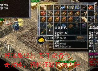 ��˽��123�����ֱر����湥�ԣ�������ս�귨��½