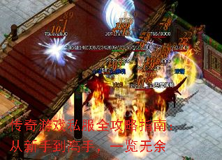 ������Ϸ˽��ȫ����ָ�ϣ������ֵ����֣�һ������