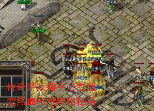 ������Ϸ���ֱؿ�������Ѫ˽�������ؼ�