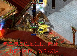 ��Ѫ����˽��֮����������ָ���Ź��ԣ�����̽��