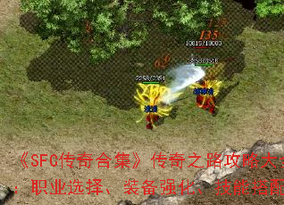 ��SFC����ϼ�������֮·���Դ�ȫ��ְҵѡ��װ��ǿ�������ܴ���ָ��