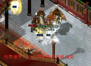 �������磺����������ֹ���ָ��