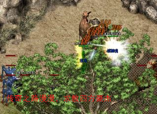 ����֮·����������ķ�����