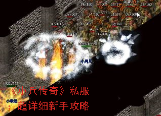 ��С�����桷˽��������ϸ���ֹ���