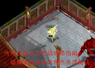 ����˽��2100�߼�����ָ�ϣ��ƽⶥ��װ�����ɫ�����ؾ�