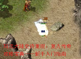 �귨��½ʷʫ���֣����Ŵ��湥�Ա��䡪����������ָ��