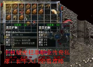 �ֻ��������ְҵ����˽�����������űؿ�����