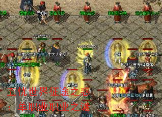 ����������;֮�󣺵�ְҵְҵ֮��