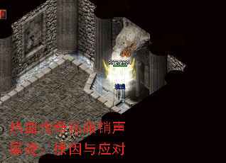 ��Ѫ����˽�������伣��ԭ����Ӧ��