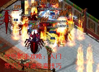 �������ֹ��ԣ����ų�ʶ�Ϳ����¸�����