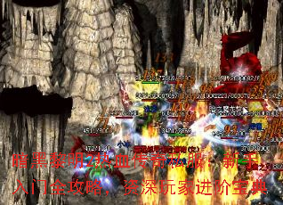 ��������2��Ѫ����˽������������ȫ���ԣ�������ҽ��ױ���