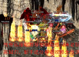 ����˽��������ֲ���𺳹�������һع飬���ֽ����������Դ����