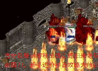 ����˽��������ֲ���𺳹�������һع飬���ֽ����������Դ����