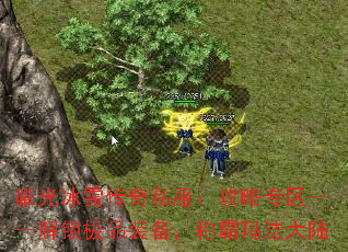 ҫ���ѩ����˽��������ר������������Ʒװ�����ư��귨��½