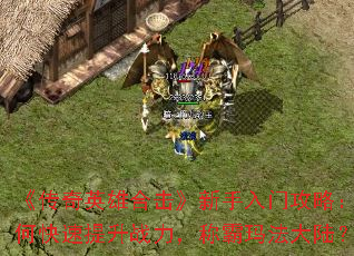 ������Ӣ�ۺϻ����������Ź��ԣ���ο�������ս�����ư��귨��½��