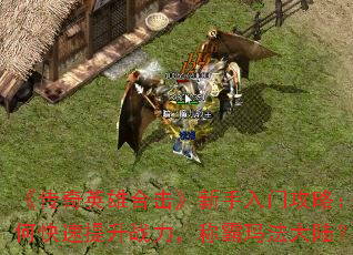 ������Ӣ�ۺϻ����������Ź��ԣ���ο�������ս�����ư��귨��½��