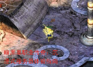 ���ڵ�ְҵ���棺����ʽ����������ָ��