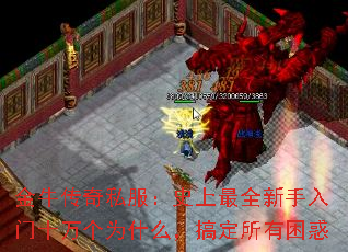 ��ţ����˽����ʷ����ȫ��������ʮ���Ϊʲô���㶨��������