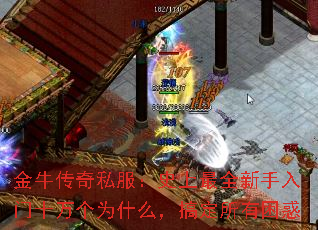 ��ţ����˽����ʷ����ȫ��������ʮ���Ϊʲô���㶨��������