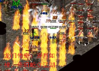 ���Ŵ��棺��������������������