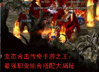 ��̬�ϻ���������֮������ǿְҵ��ϴ�������