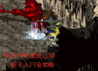 ���ɴ������ֽ�������������ȫ����