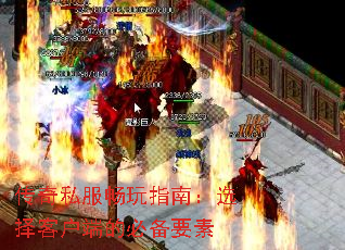 ����˽������ָ�ϣ�ѡ��ͻ��˵ıر�Ҫ��