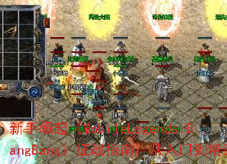 ��������MobileLegends:BangBang����սָ�ϣ������ŵ���ͨ