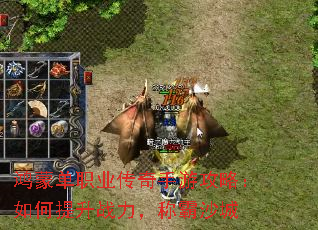 ���ɵ�ְҵ�������ι��ԣ��������ս�����ư�ɳ��