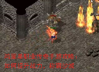 ���ɵ�ְҵ�������ι��ԣ��������ս�����ư�ɳ��