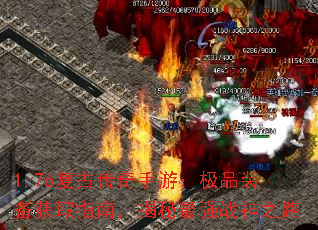 1.76���Ŵ������Σ���Ʒװ����ȡָ�ϣ�������ǿս��֮·