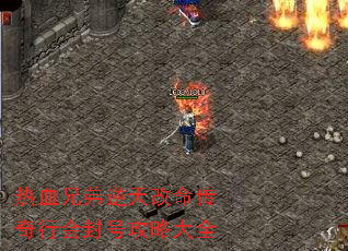 ��Ѫ�ֵ�������������л��Ź��Դ�ȫ