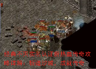 ���䲻��ʵ����֤����Ѫ���湥����⣺ն��ɳ�ǣ��ɾʹ���