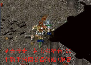 ʥ�촫�棺�����߸���100������ָ�ϱر�����+���