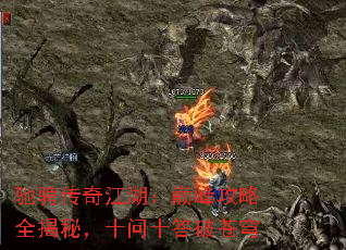 �۳Ҵ��潭�����۷幥��ȫ���أ�ʮ��ʮ���Ʋ��