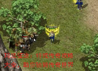 �귨��;���ؽ䴫�湥�Դ�ȫ������۳Ҵ�������