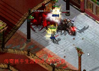 �����������ĳ�ͨ����ָ��