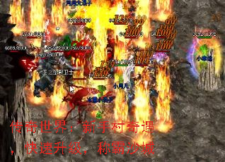 �������磺���ִ������������������ư�ɳ��