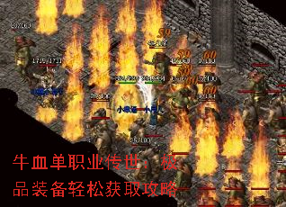 ţѪ��ְҵ��������Ʒװ�����ɻ�ȡ����