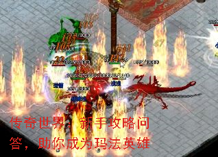 �������磺���ֹ����ʴ������Ϊ�귨Ӣ��