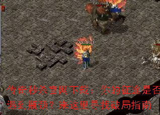 ������ɱ�������أ������;�Ƿ�����ƿ����������Ѱ���ƾ�ָ��