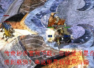 ������ɱ�������أ������;�Ƿ�����ƿ����������Ѱ���ƾ�ָ��