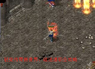 ��䴫�������磺ս����ְҵ����