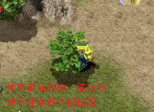 ������ǿս����սɳ�ǲ���·���ռ��ؼ�