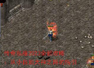 ����˽��2023ȫ�¹��ԣ���С�׵�����֮·��ָ��