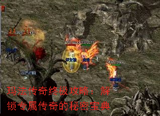 �귨�����ռ����ԣ�����ר����������ܱ���