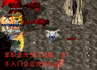 ��ְҵ����֮�۷壺��������ȫ�湥��ָ��