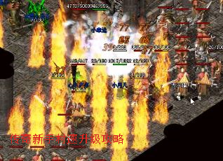 �������ִ�����������