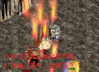 �����̬רҵ���۷幥�ԣ����쳬�����ԣ��ư��귨